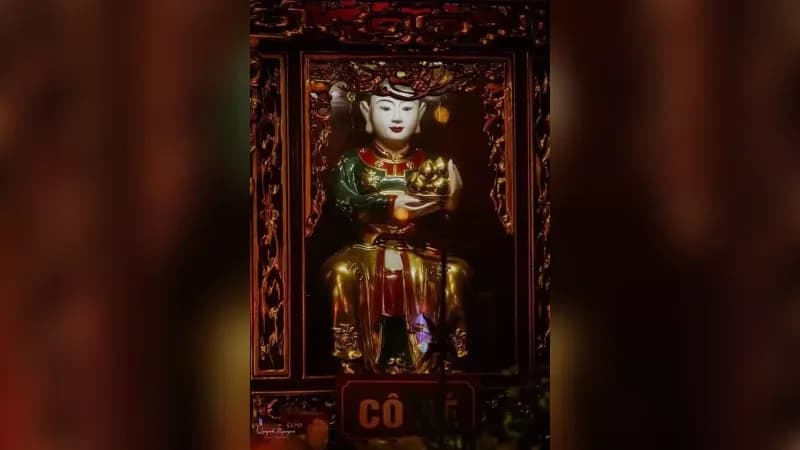 Cô Bé Thượng Ngàn